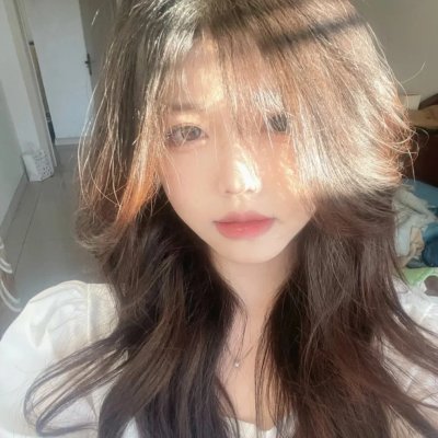 探长薇拉第十二季